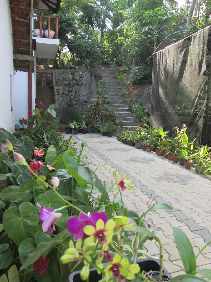 Ranga Villa Hikkaduwa Exterior photo